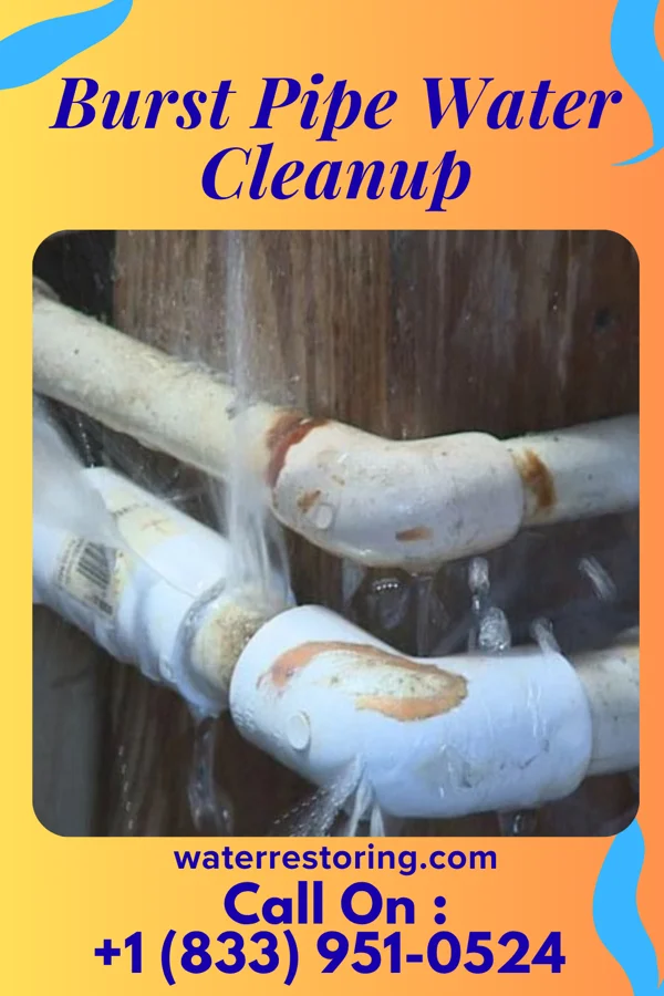 Burst Pipe Water Cleanup in Westvale, NY