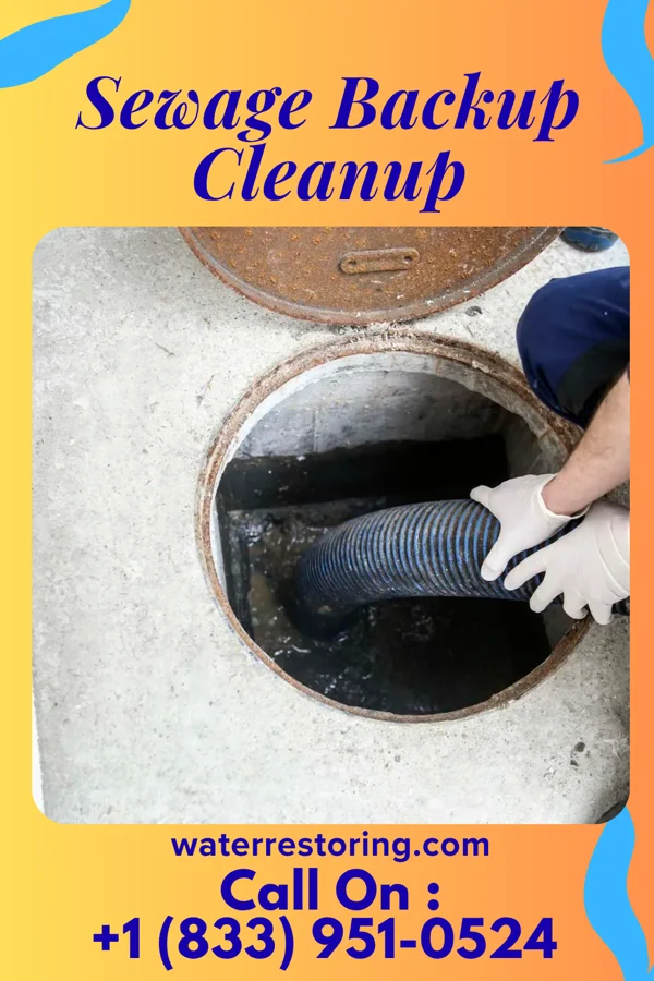 Sewage Backup Cleanup in Westvale, NY
