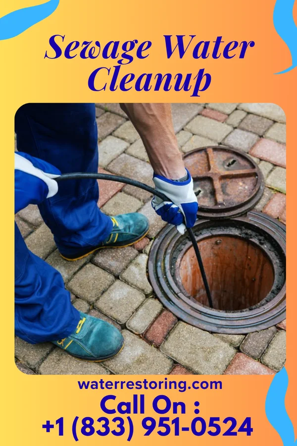 Sewage Water Cleanup in Westvale, NY