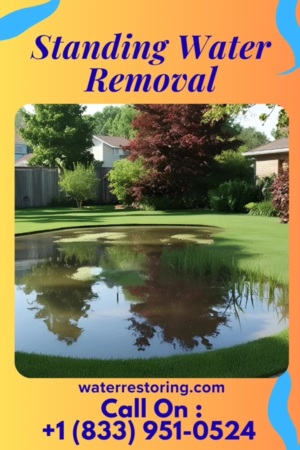 Standing Water Removal in Westvale, NY